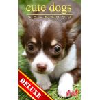 cute dogs DELUXE03 チワワ 電子書籍版 / 編集:アキバ書房