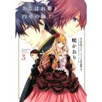 おこぼれ姫と円卓の騎士 (3) 電子書籍版 / 原作:石田リンネ 漫画:暁かおり キャラクター原案:起家一子