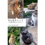 さんぽキャッツ 〜夕焼け時のネコたちへ〜 電子書籍版 / 撮影:megumi