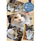 ほっこり猫ライフ vol.1 電子書籍版 / 深川猫近堂/Blue Label