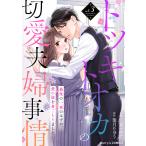 トツキトオカの切愛夫婦事情〜最後の一夜のはずが、愛の証を身ごもりました〜3巻 電子書籍版 / 三星マユハ(作画)/葉月りゅう(原作)