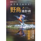 お手本でわかる!野鳥撮影術
