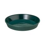 4903266722623 ¥ä¥Þ¥È ¥Õ¥ì¥°¥é¡¼¥×¥ì¡¼¥È 18·¿ÍÑ ¥À¡¼¥¯¥°¥ê¡¼¥ó ÂçÏ¥ץ饹¥Á¥Ã¥¯ ÂçÏÂ¥×¥éÈÎ