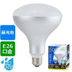LED電球、LED蛍光灯
