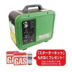 テイーエム enestar カセットガスインバータ発電機 GEN-1000 エンジン