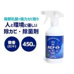 在庫 K13924-1 乳酸カビナイト ST 450ml K139241 あすつく対応