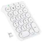 iClever KP09 беспроводной цифровая клавиатура 2.4GHz белый IC-KP09WH стандартный магазин 