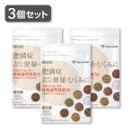 【3個セット】SOKUYAKU漢方　防風通聖散錠SS (180錠入り 15日分） 第2類医薬品　セルフメディケーション税制対象