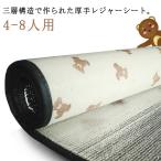 ショッピングレジャーシート アルミ レジャーシート 厚手 4mm 大判 大きい 200cm×200cm 4-8人 防水 防湿 保温 ピクニックシート ピクニックマット 折りたたみ