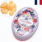 Oncle HANSI オンクルアンシ グミ缶 リンゴ 40g 林檎 りんご デザイン缶 フランスみやげ フランス土産 夏季クール