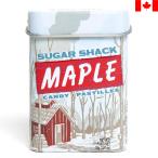 �r�b�O�X�J�C �V���K�[�V���b�N ���[�v���L�����f�B�[ 30g BigSky SugarShack �����l�َq �ʓ��� �^�u���b�g �� ���� �J�i�_�݂₰
