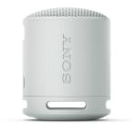  Sony (SONY) SRS-XB100 H светло-серый беспроводной портативный динамик 