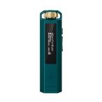 FiiO(fi-o) FIO-SSENANO-GR зеленый Snowsky ECHO NANO портативный аудио плеер в высоком разрешени * Roth отсутствует USB DAC установка 