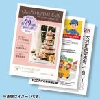  Sanwa Supply LBP-HK25KN цветной лазерный для фото глянец открытка 25 листов входит 