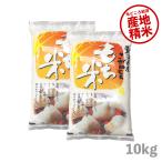 もち米 10kg こがねもち お米 令和6年産 新潟県産 5kg x2袋 送料無料 (沖縄のぞく)