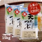 米 15kg 天のつぶ お米 令和6年産 福島産 精米 白米 5kg x3袋 送料無料(沖縄のぞく)
