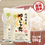 新米 10kg ゆきん子舞 お米 10キロ 令和5年産 新潟県産 産直 精米 白米 本州へは送料無料