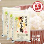 【蔵出しセール価格】米 15kg ゆきん子舞 お米 15キロ 令和6年産 新潟産 精米 白米 5kg x3袋 送料無料(沖縄のぞく)