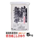 ショッピングお歳暮 2023 米 新潟県 新発田 菅谷産 コシヒカリ 真空パック 5ｋｇ お歳暮 2023