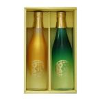 お酒 日本酒 (産地直送) 越乃梅里 グラデーションボトル2本セット 720ml DHC酒造