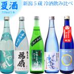 日本酒 夏季限定 新潟5蔵 飲み比べ セット 720ml 5本