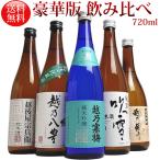 日本酒 飲み比べ 越乃