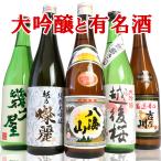 日本酒 飲み比べセット 越後桜大吟醸、八海山、幾久屋、加賀の井純米大吟醸、吉乃川厳選辛口 720ml 5本セット(A738)