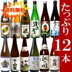 日本酒 飲み比べ セット  ギフト 新潟清酒 720ml 12本 4合瓶