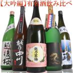 日本酒 大吟醸 飲み比べ セット  ギ