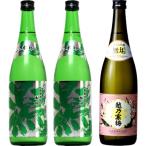 越後流旨口 潟 本醸造 