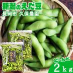 ( прямая поставка от производителя )( рефрижератор ) Niigata префектура Nagaoka город производство ветка бобы 2kg. гарантия сельское хозяйство . сельское хозяйство дом прямая поставка .. длина. .. бобы * после отправки 5 день .... шелковый креп . израсходованный пожалуйста 