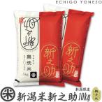 新潟米 令和7年産 新潟産 新之助 無洗米 10kg (5kg×2袋) 新潟県限定米 新潟米 お米 無洗米 新品種 送料無料 ギフト対応