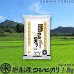 新米 令和7年産 岩船産