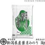 新潟米 令和5年産 新潟県産 葉月みのり 5kg (5kg×1袋) 厳選産地米 早生品種 新品種 新潟米 お米 白米 送料無料 ギフト対応