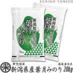 新潟米 令和5年産 新潟県産 葉月みのり 20kg (5kg×4袋 厳選産地米 早生品種 新品種 新潟米 お米 白米 送料無料 ギフト対応