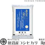 新潟米 令和5年産 無洗米 魚沼産コシヒカリ 5kg (5kg×1袋) NTWP製法 お米 白米 新潟米 魚沼米 新潟県産 こしひかり 送料無料 ギフト対応