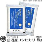 新潟米 令和5年産 無洗米 魚沼産コシヒカリ 10kg (5kg×2袋) NTWP製法 お米 白米 新潟米 魚沼米 新潟県産 こしひかり 送料無料 ギフト対応