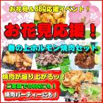 送料無料 お花見応援 秘伝の味 春の上ホルモン焼肉セット