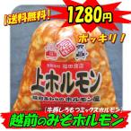 送料無料 伝統の味 越前のみそホルモン300g 複数購入でおまけ付き 牛ホルモン 豚ホルモン