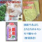 国産牛もつ鍋(モツ鍋)セット 野菜抜き 醤油味 2〜3人前用 焼肉 ホルモン B級グルメ