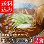 「半生カレーそば2食(ネコポス)」そば ざるそば 蕎麦 生蕎麦 かけそば 日本そば セット 取り寄せ 麺 セール お試し メール便 ポイント消化 メール便 ネコポス