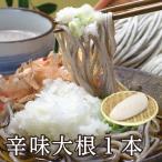 「辛味大根1本」 越前そばと相性ぴったり！おろしそばにオススメ！ピリっと辛い【おろしそば】【具材】【おろし蕎麦】