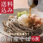 お歳暮  年越しそば「越前産6食(TN6)」御歳暮 年越し蕎麦 そば 蕎麦 お取り寄せ 越前そば