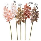 アスカA-34276シンビジューム...