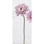 ASCA アスカ アネモネピック (A-33454-17) 入数:24