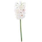 ASCAアスカスイトピーバンチ×2...