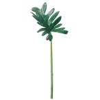 ASCA アスカ ミニクッカバラ 価格変更 (A-40966-51A) 入数:48