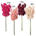 ASCAアスカスイトピーバンチX2...