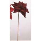 ASCAアスカポインセチア