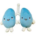 ショッピングORANGE ORANGE ぬいぐるみ 臓器 人体 内臓 目 心臓 胃 筋肉 うんち 腸 脳 肺 (O2017063) 入数:2